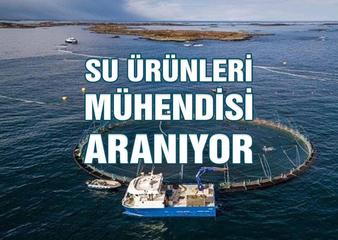 Su Ürünleri Mühendisi Aranıyor