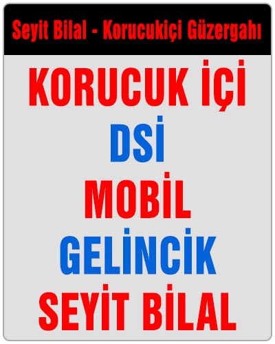 Seyit Bilal Korucukiçi Dolmuşu