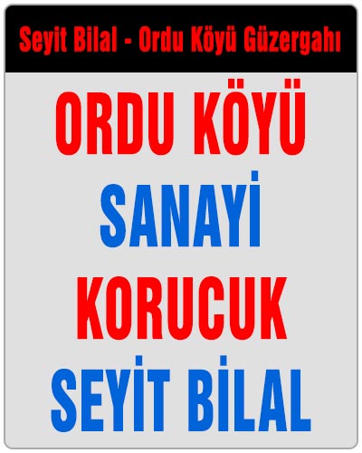 Seyit Bilal Ordu Köyü Dolmuşu