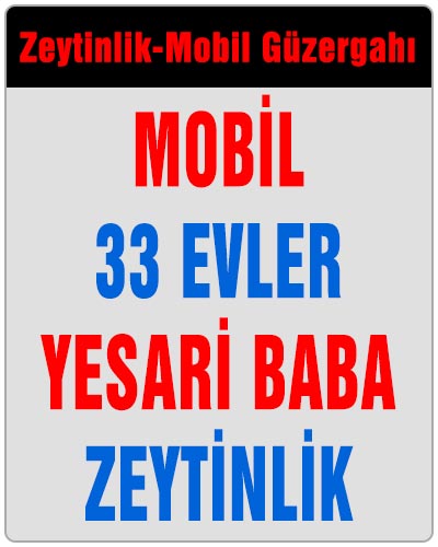 Zeytinlik Mobil Dolmuşu