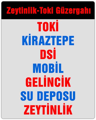 Zeytinlik Toki Dolmuşu
