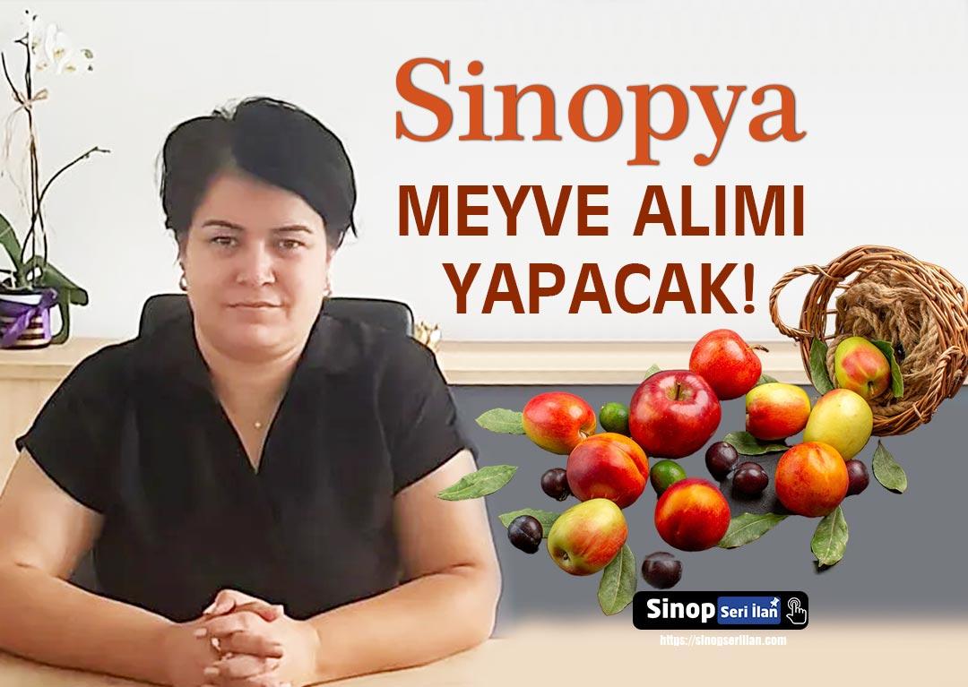 Sinopya Kadın Kooperatifi meyve alımı yapacaktır.